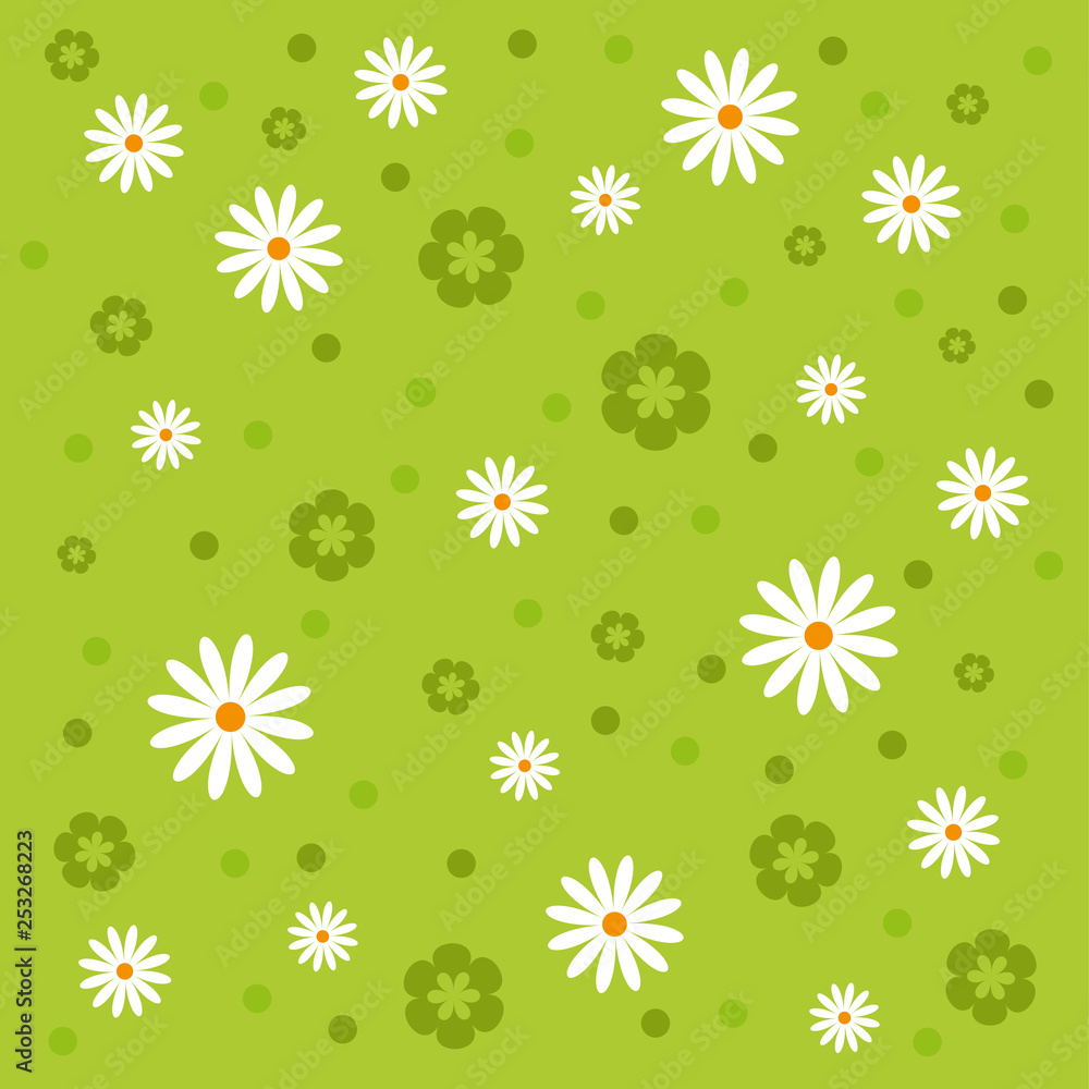seamless spring pattern with daisy flowers seamless spring pattern with daisy flowers