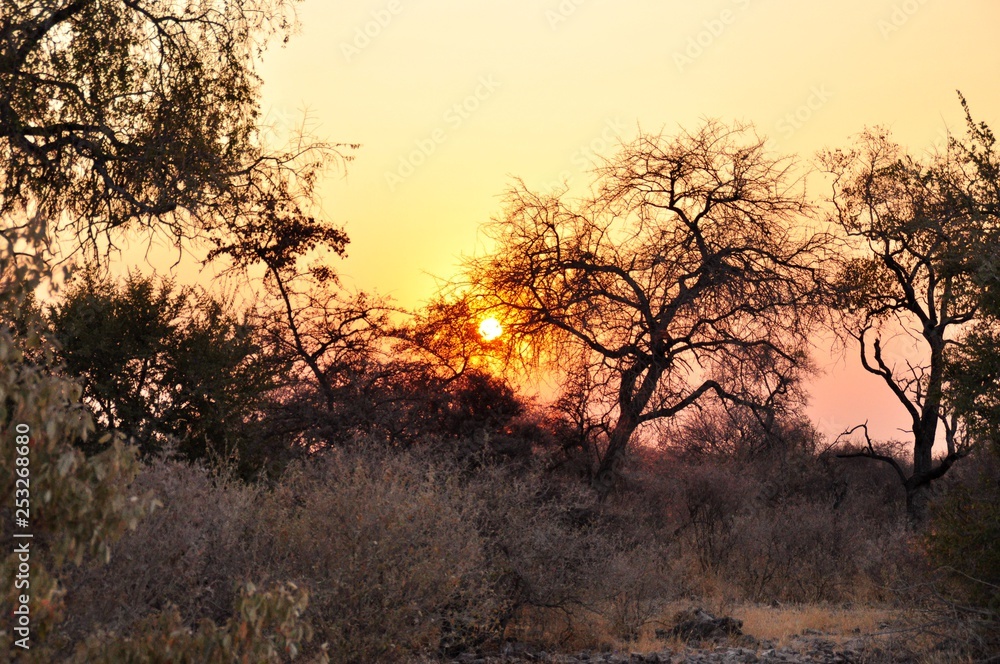Sunrise in Africa
