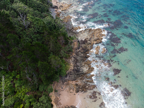 A drone photo of the new zealand coast with forest and ocean