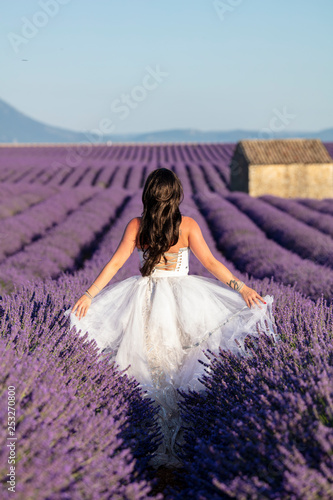 Model in wedding dress in lavender, Valensole in France