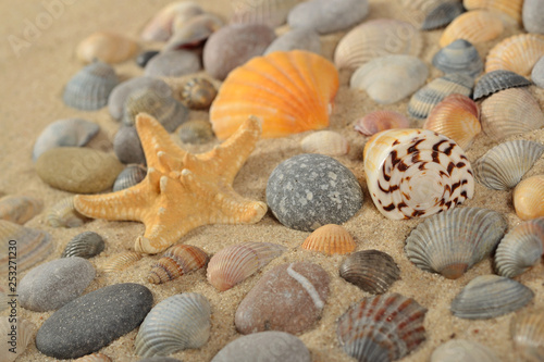 Starfish  seashells and pebbles close-up