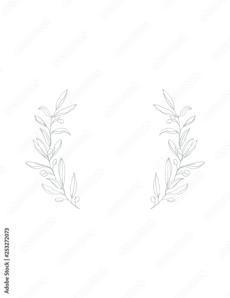 Fototapeta premium Delicate Hand Drawn Green Olive Twigs Isolated on a White Background. Vector Green Branch Frame. Retro Style Delicate Green Sketched Floral Wreath. Illustration Without Text.