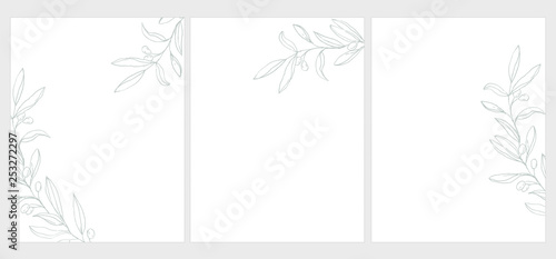 Set of 3 Green Olive Twigs Vector Illustration. Light Green Olive Branches Isolated on a White Background. Simple Elegant Wedding Cards. Floral Hand Drawn Arts. Illustration Without Text.