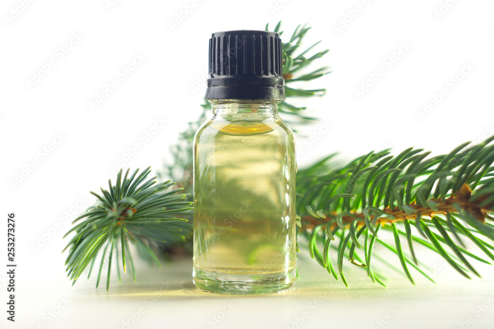 Essence of pine on table in beautiful glass jar Essence of pine on table in beautiful glass jar