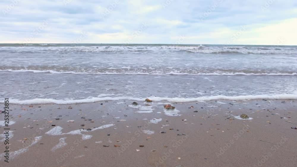 Strong sea waves on the sandy shore. Shells of rapan on the sand. Strong sea waves on the sandy shore. Shells of rapan on the sand.