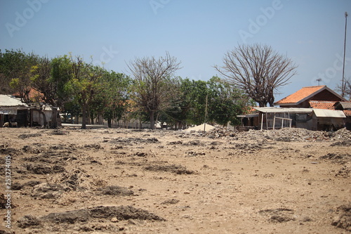 Wallpaper Mural landscape trees on the island of Gili Ketapang Torontodigital.ca