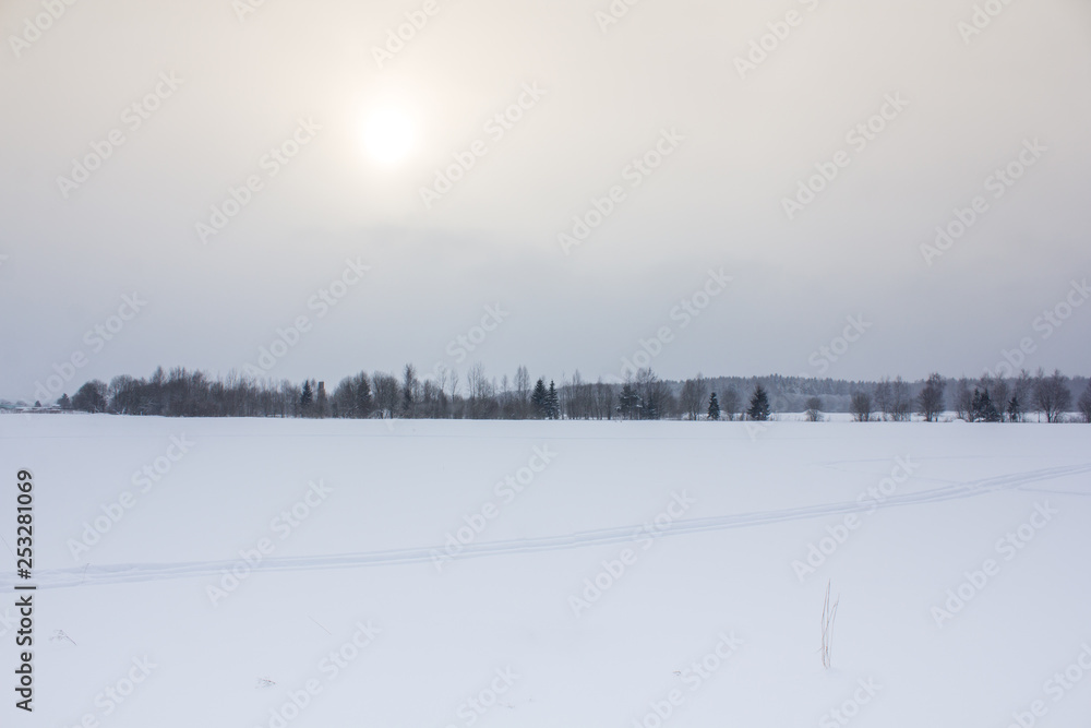 Winter landscape in cloudy weather. Snow picture. Trees in the snow. Winter landscape in cloudy weather. Snow picture. Trees in the snow.