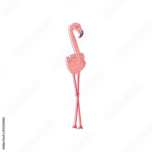 Hand drawn vector illustration pink flamingo. Large wild bird with long neck and legs. Wildlife and fauna theme