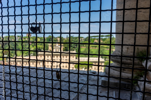 Italy, Rome, Vatican City, a close up of a cage