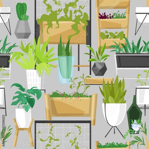 Plants in flowerpots vector potted houseplants indoor botanic cactuses aloe for house decoration with floral collection of botanical garden illustration isolated on background