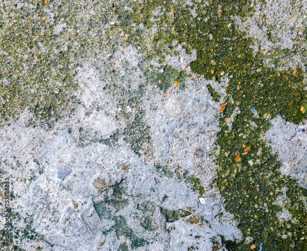 Grunge concrete floor with moss growing by humid.
