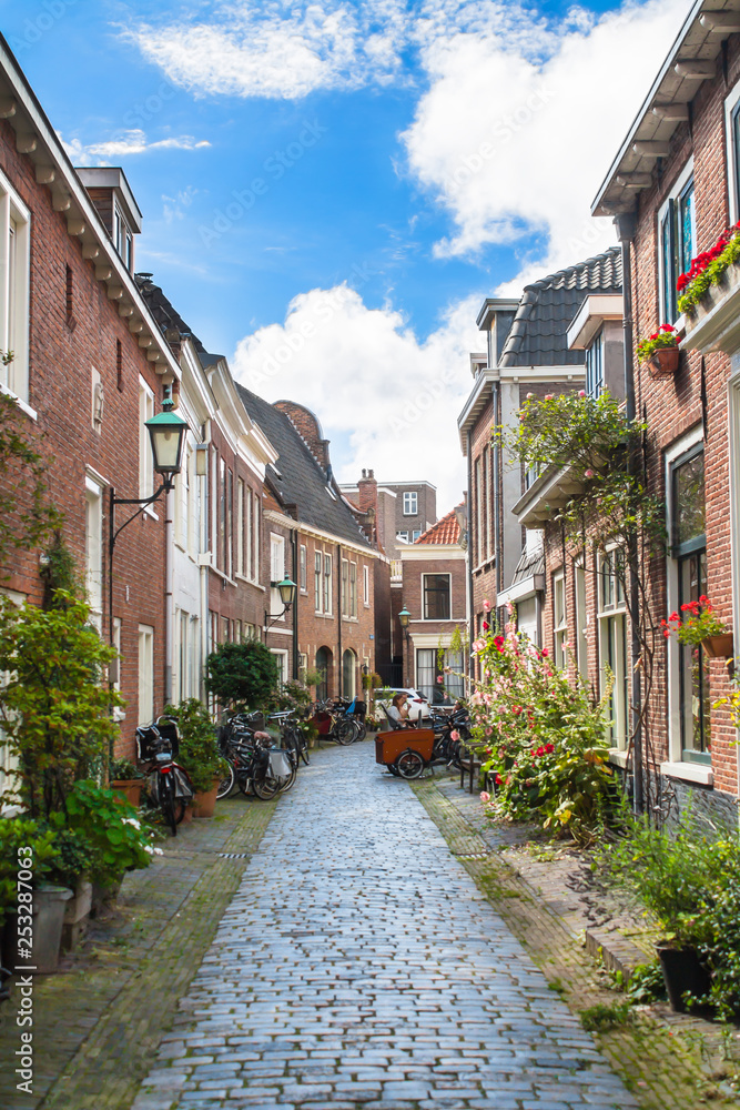 Typical residential area decorated with green plants in Haarlem, the Netherlands 