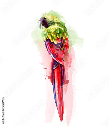 Tropic colorful parrot bird Vector watercolor. Cute bird illustration. blue c...