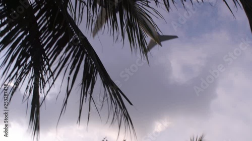 the plane landing over trees in the Changi