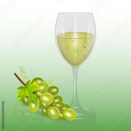 Transparent vector wine glass with White wine, template of glassware for alcoholic drinks. Realistic vector illustration