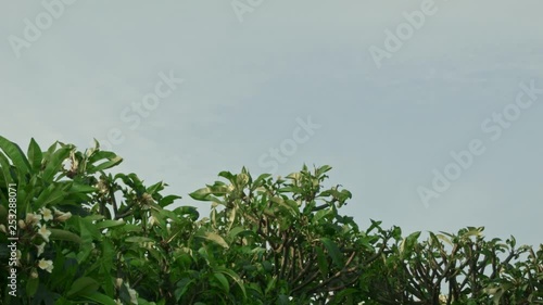 the plane low flies in the Changi