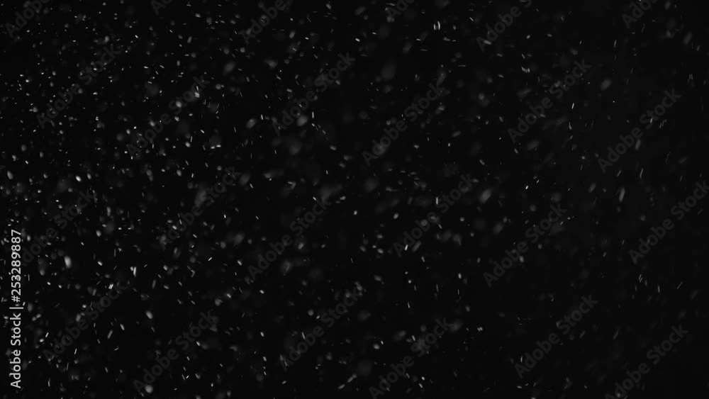 Natural Organic Dust Particles Floating On Black Background. Dynamic Dust Particles Randomly Float In Space With Fast And Slow Motion. Shimmering Glittering White Particles With Bokeh In The Air. Natural Organic Dust Particles Floating On Black Background. Dynamic Dust Particles Randomly Float In Space With Fast And Slow Motion. Shimmering Glittering White Particles With Bokeh In The Air.