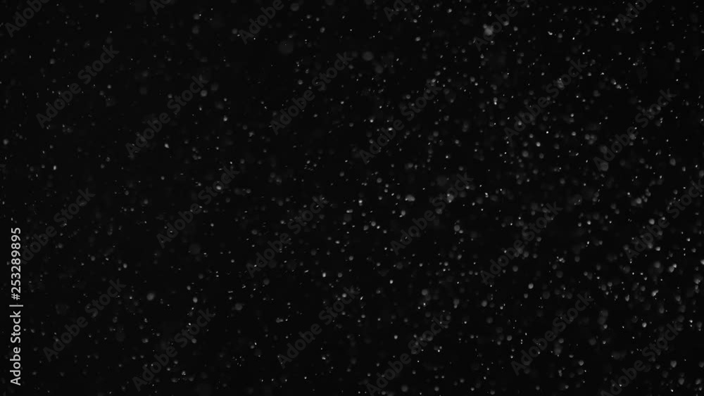 Natural Organic Dust Particles Floating On Black Background. Dynamic Dust Particles Randomly Float In Space With Fast And Slow Motion. Shimmering Glittering White Particles With Bokeh In The Air. Natural Organic Dust Particles Floating On Black Background. Dynamic Dust Particles Randomly Float In Space With Fast And Slow Motion. Shimmering Glittering White Particles With Bokeh In The Air.
