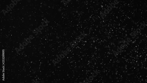 Natural Organic Dust Particles Floating On Black Background. Dynamic Dust Particles Randomly Float In Space With Fast And Slow Motion. Shimmering Glittering White Particles With Bokeh In The Air.