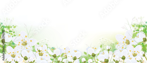 Vector floral border. White flowers and leaves, isolated on white.