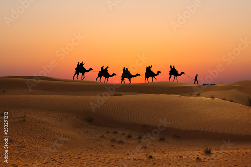 Silhouette of camel caravan with people on dessert at sunset