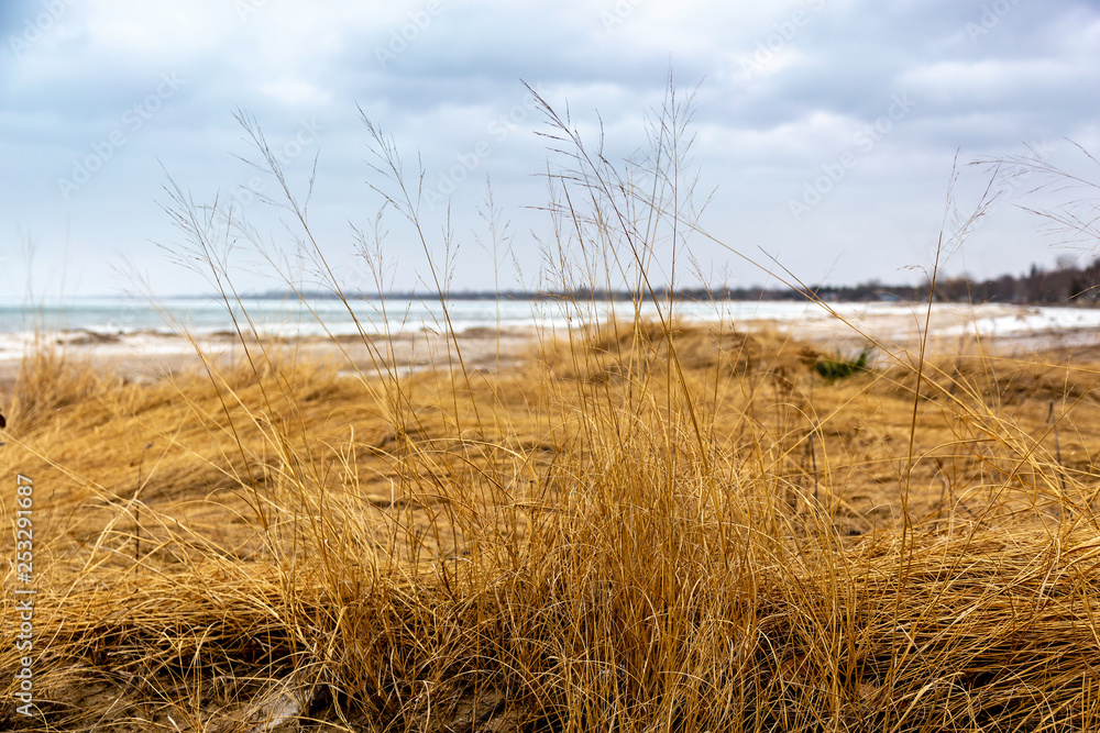 Fototapeta premium Ipperwash Beach in Winter