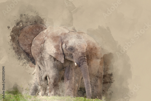 Piękny obraz akwareli słonia afrykańskiego Loxodonta Africana