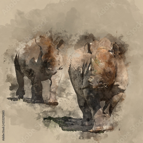 Piękny obraz akwarelowy przedstawiający wschodniego czarnego nosorożca Diceros Bicornis Michaeli