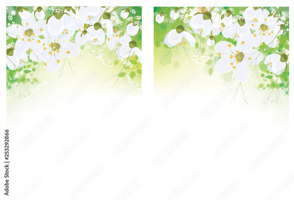Vector floral  banners. White flowers and leaves border,  isolated on white.