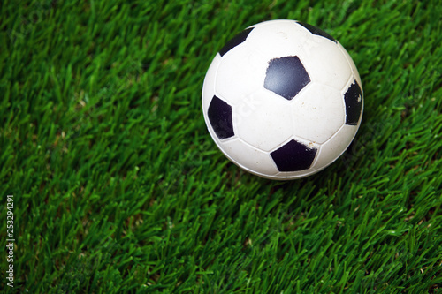 Soccer ball on a grass © Arman Zhenikeyev