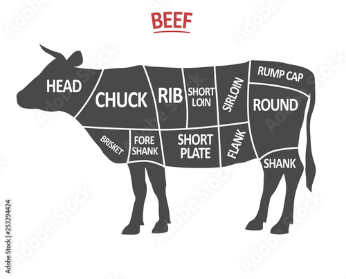 Cuts of Beef. Poster Butcher diagram. Cow silhouette isolated. Meat cuts. Beef cutting scheme. vector