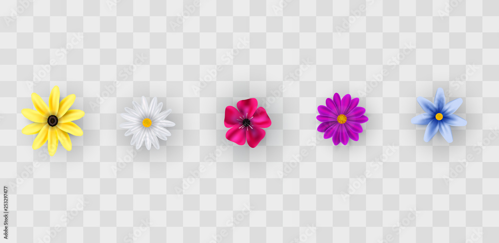 Flowers on a transparent Flowers on a transparent