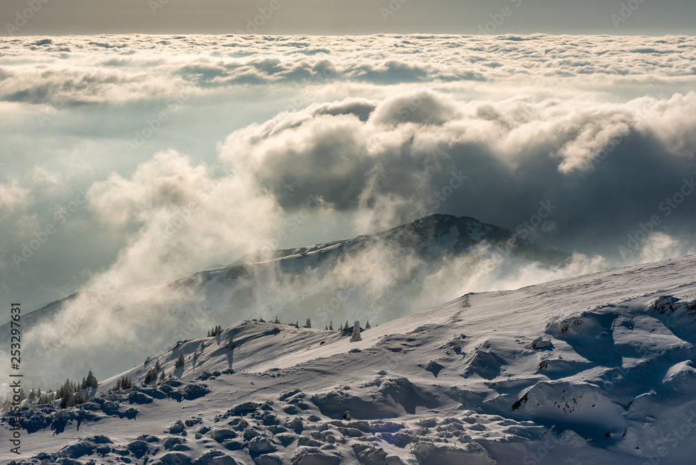 Landscape panorama of snowy mountains at Kopaonik, Serbia