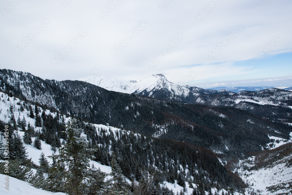 Mountain peaks in Zakopane and in Poland covered with fresh snow in the daytime with blue sky Mountain peaks in Zakopane and in Poland covered with fresh snow in the daytime with blue sky