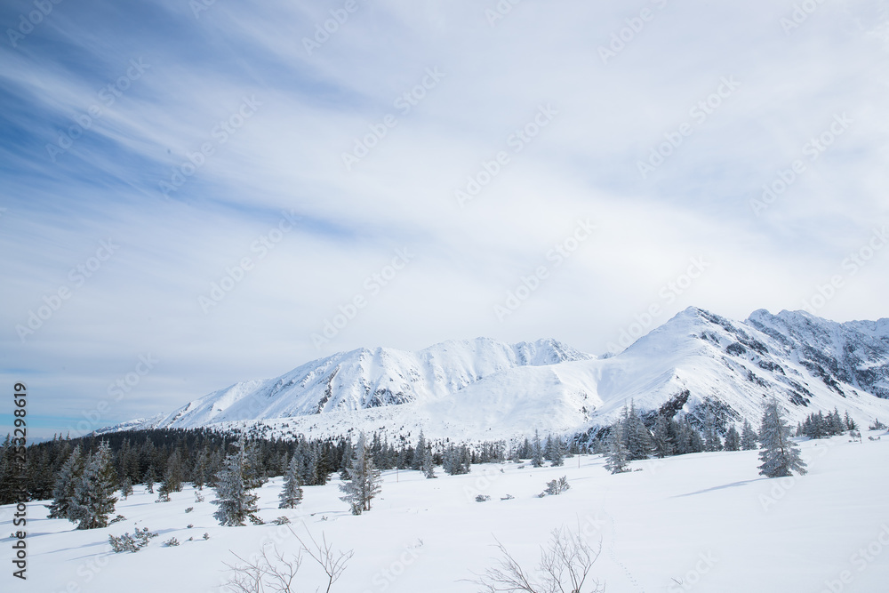 Mountains in Zakopane and Poland covered with fresh snow on a sunny day