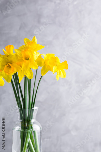 daffodils, bouquet, glass vase, gray background, copy place