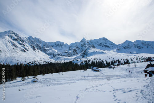 Wallpaper Mural Mountain peaks in Zakopane and in Poland cover with fresh snow during a sunny day Torontodigital.ca