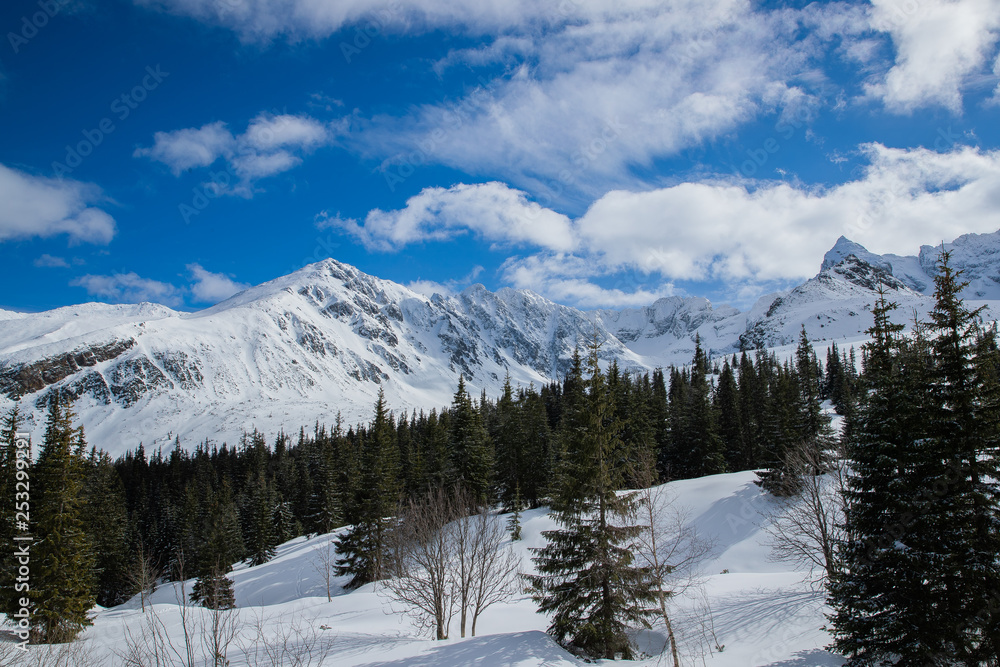 View on top of the mountains in the Zakopane area in Poland covered with fresh snow on the day with blue sky