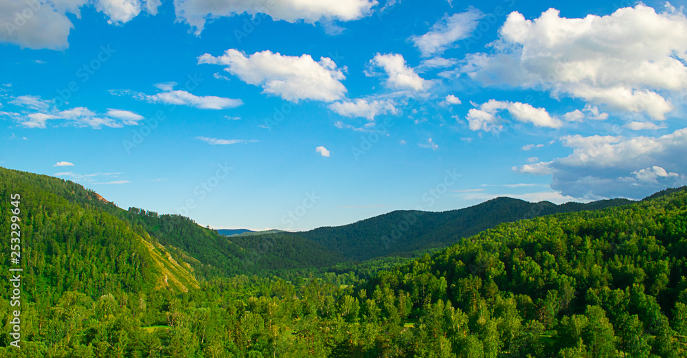 Summer landscape magnificent green hills and forest with different trees against the blue sky. Russia Siberia.