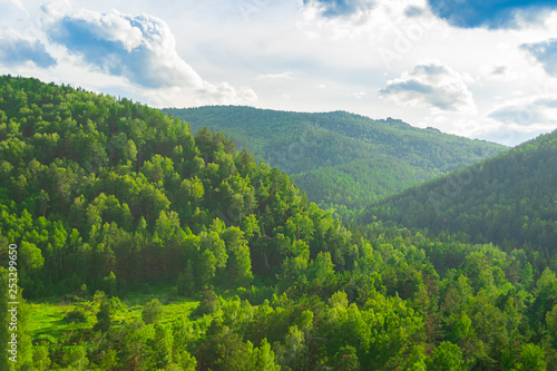Summer landscape magnificent green hills and forest with different trees against the blue sky. Russia Siberia. © ximich_natali