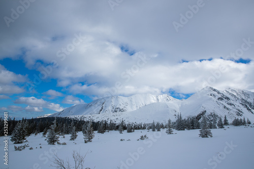 Snow covered mountain peaks in Zakopane and in Poland cover with fresh snow on a sunny day © Lukas