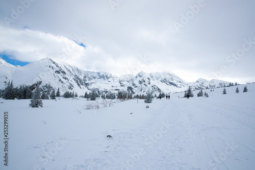 Snow covered mountain peaks in Zakopane and in Poland cover with fresh snow on a sunny day