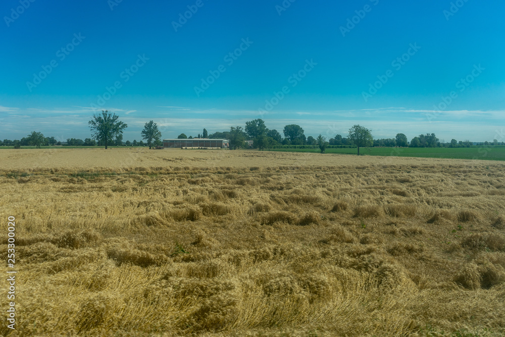 Italy,La Spezia to Kasltelruth train, a close up of a dry grass field