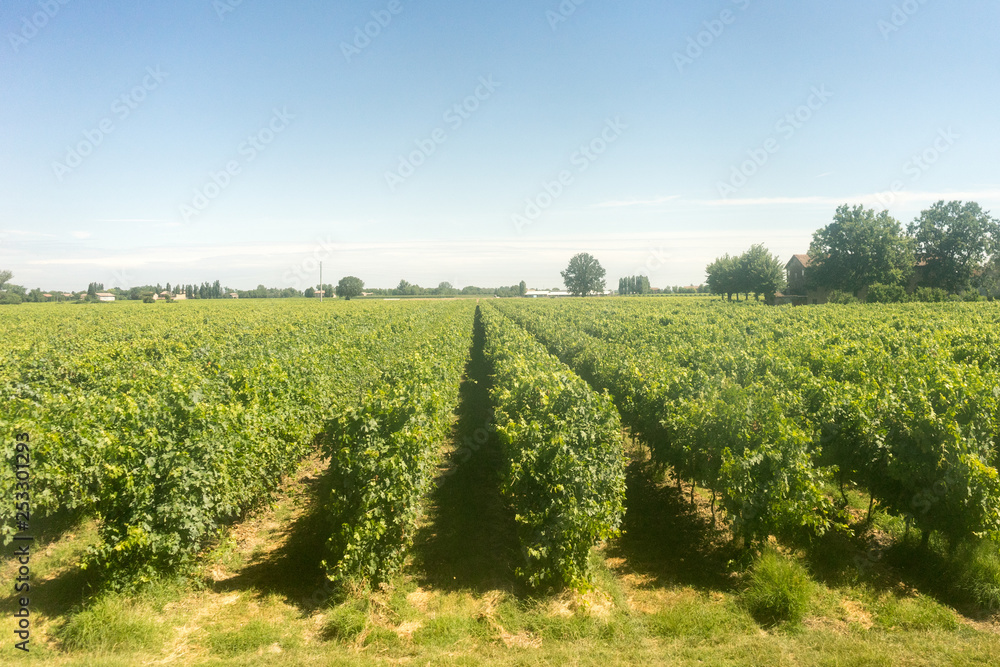 Fototapeta premium Italy,La Spezia to Kasltelruth train, a large green field with trees in the background