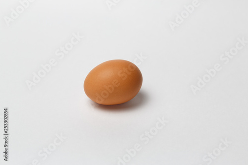 brown egg on white background