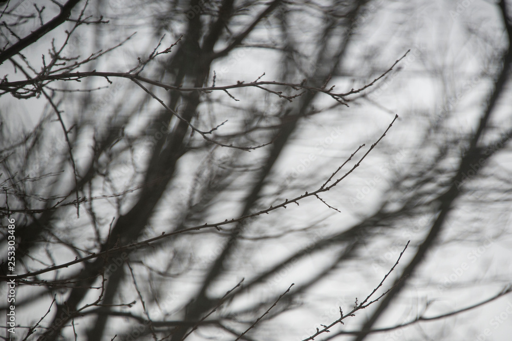 Abstract blur of colors. Warm and cool tones. Abstract blur of colors. Warm and cool tones.