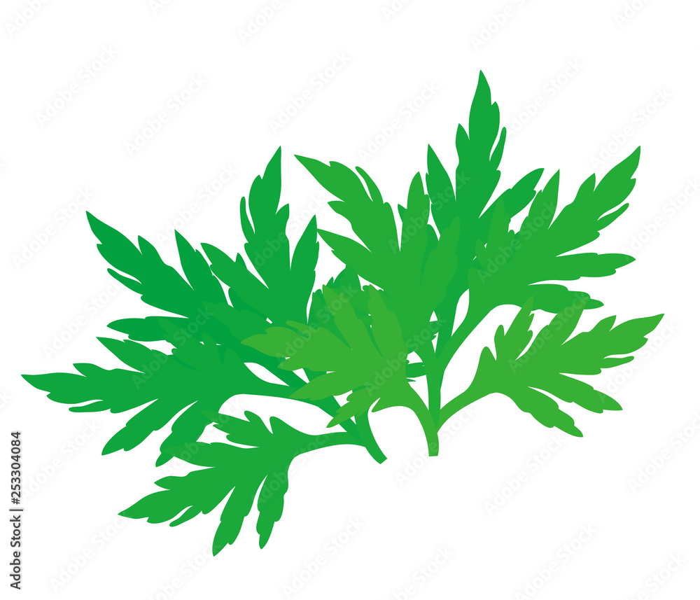 若いよもぎの葉っぱのイラスト Stock ベクター Adobe Stock