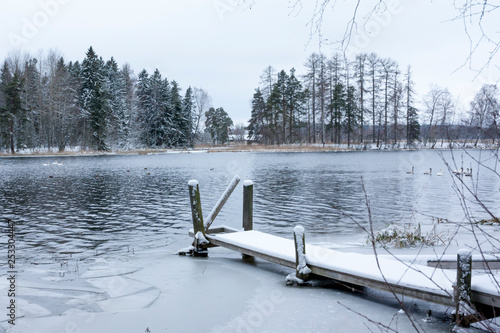 Winter calm landscape on a river with a white swans and pier. Finland, river Kymijoki. photo