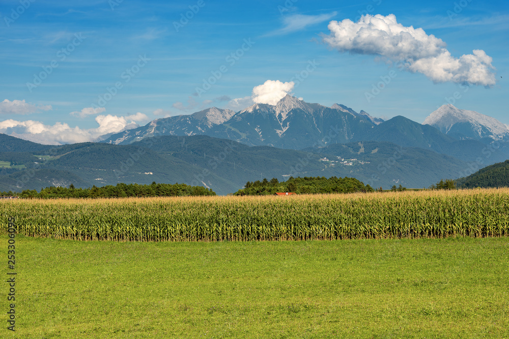 Austria - Corn field and green meadow in mountain