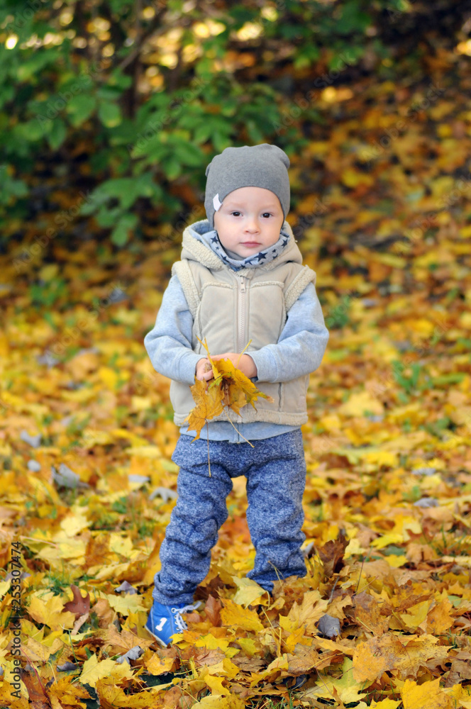 Two years old boy standing on falling autumn leaves Two years old boy standing on falling autumn leaves